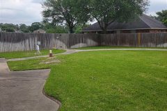 backyard1
